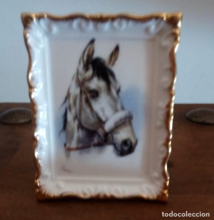 Antiques: Royal Grafton .Cuadrito Filo oro.Caballo Blanco.