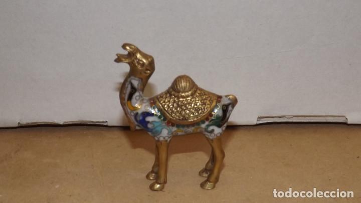 Antig&uuml;edades: CAMELLO CLOISONNE BRONCE ESMALTE - Foto 1