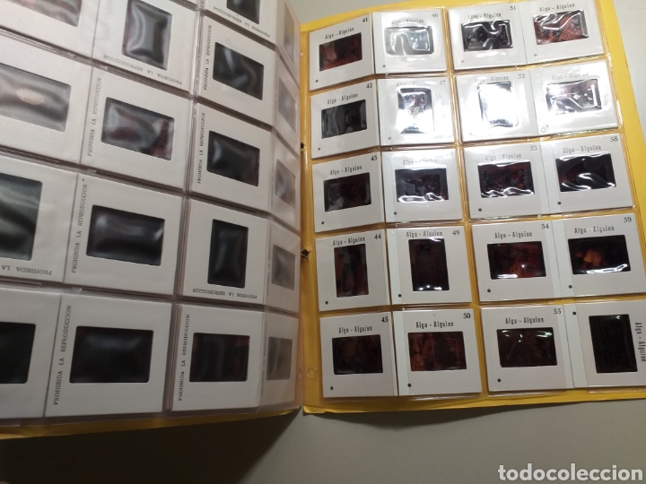 Antig&uuml;edades: Diapositivas Algo - Alguien - Foto 3