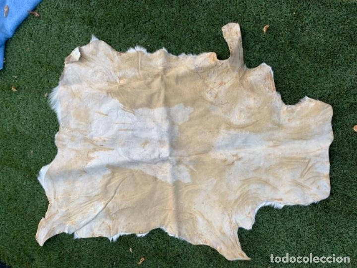 Antig&uuml;edades: Alfombra de vaca - Foto 2