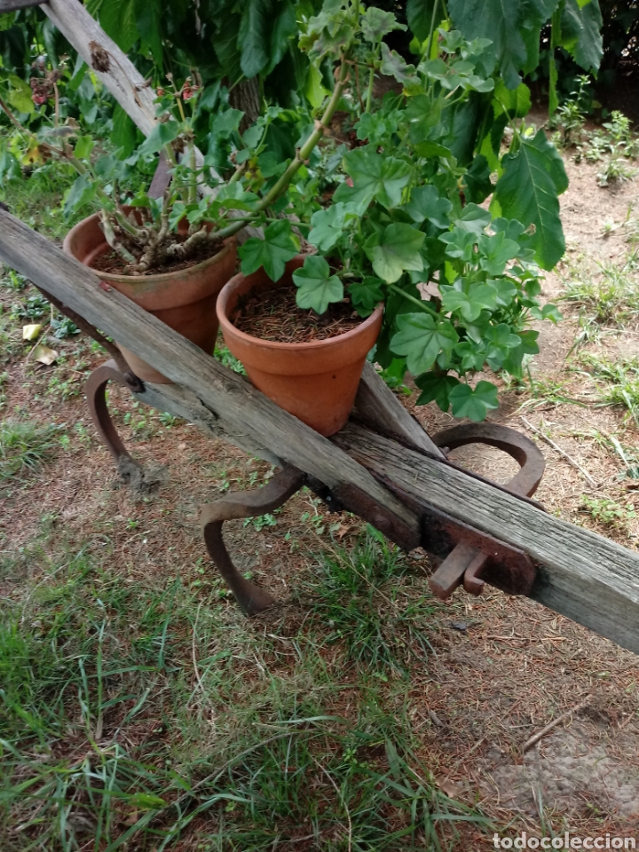 Antig&uuml;edades: Arado de madera con 3 ganchos - Foto 3