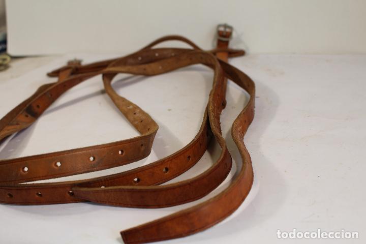 Antig&uuml;edades: correa para caballo - Foto 2