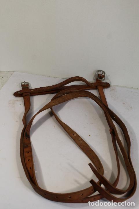 Antig&uuml;edades: correa para caballo - Foto 3