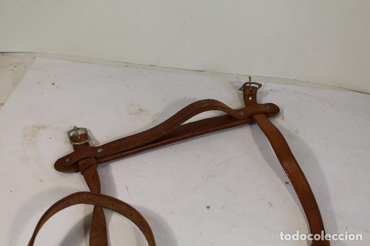 Antig&uuml;edades: correa para caballo - Foto 4