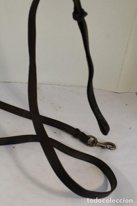 Antig&uuml;edades: correa piel para caballo - Foto 2