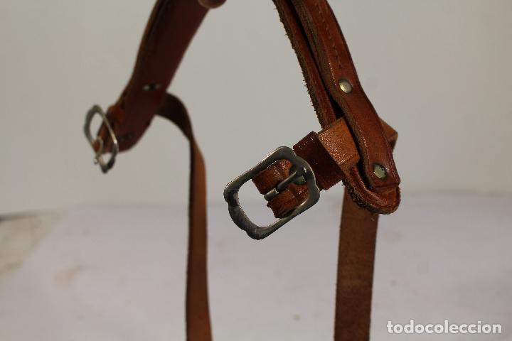 Antig&uuml;edades: correa piel para caballo - Foto 5
