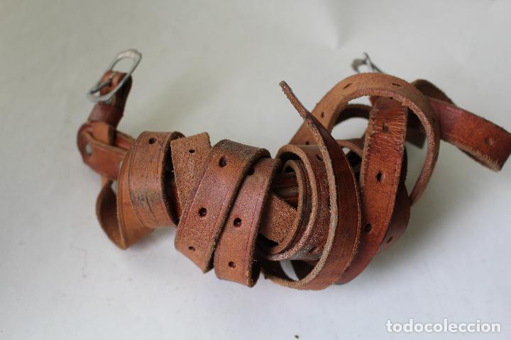 Antig&uuml;edades: correa piel para caballo - Foto 1