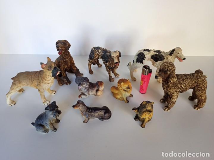 Antig&uuml;edades: Colecci&oacute;n de figuritas con distintas razas de perros - Foto 1