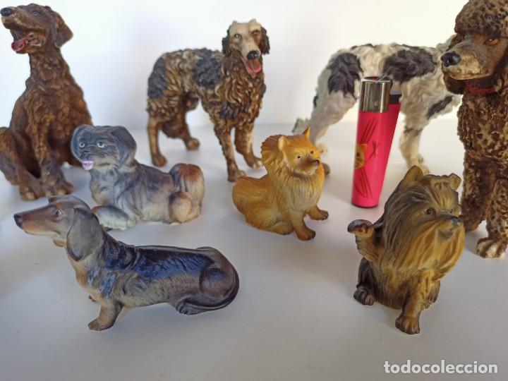 Antig&uuml;edades: Colecci&oacute;n de figuritas con distintas razas de perros - Foto 2