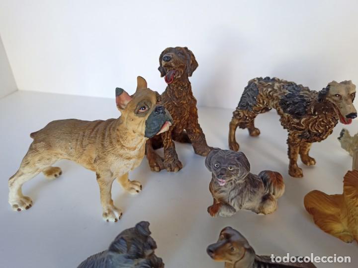 Antig&uuml;edades: Colecci&oacute;n de figuritas con distintas razas de perros - Foto 3