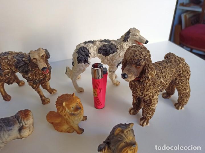 Antig&uuml;edades: Colecci&oacute;n de figuritas con distintas razas de perros - Foto 4