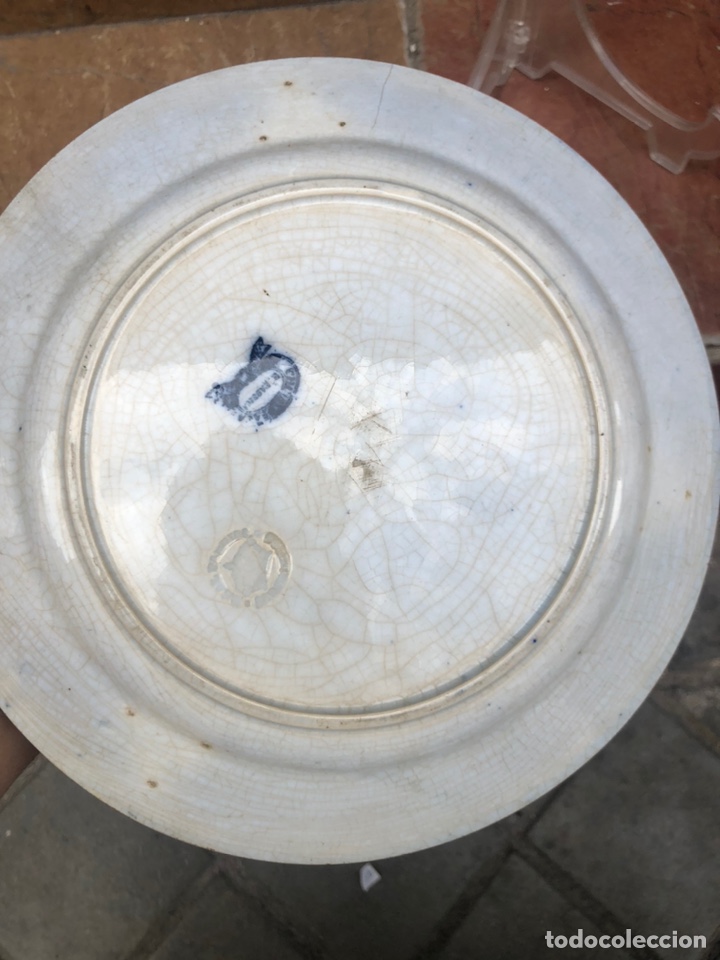 Antig&uuml;edades: Plato de Sargadelos S.XIX - Foto 3