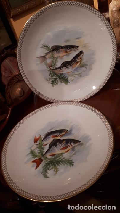 Antig&uuml;edades: PAREJA DE PLATOS, PECES. - Foto 1