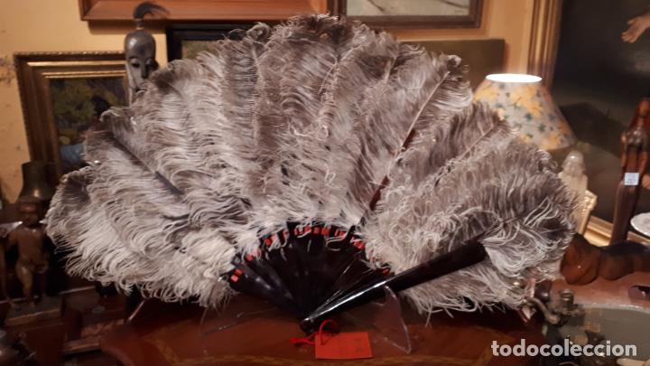 Antig&uuml;edades: ABANICO DE PLUMAS. SIGLO XIX - Foto 2