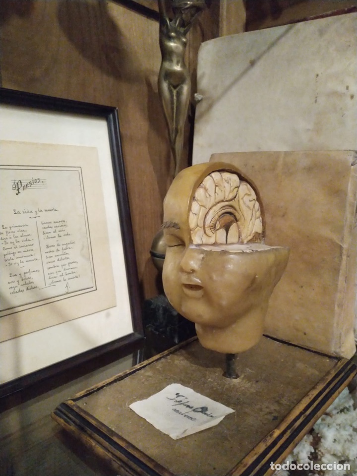 Oggetti Antichi: Modelo anatom&iacute;co antiguo cera policromada y pelo humano