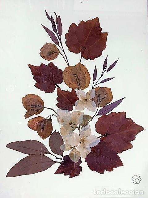 Antig&uuml;edades: Marco de caoba con flores secas enmarcadas. - Foto 2