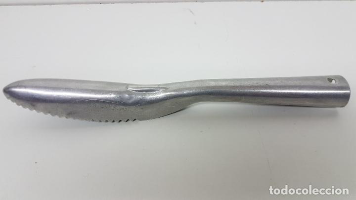 Oggetti Antichi: ANTIGUO ESCAMADOR DE PESCADO - ALUMINIO - MARCA JECOR