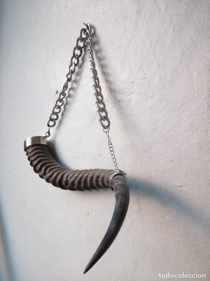 Antig&uuml;edades: Cuerna ant&iacute;lope decoraci&oacute;n - Foto 3