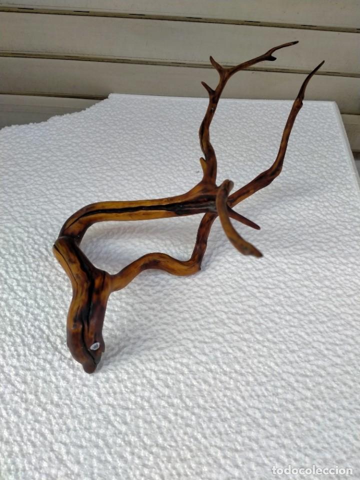 Antig&uuml;edades: RAIZ DE &Aacute;RBOL RAICES - Foto 1