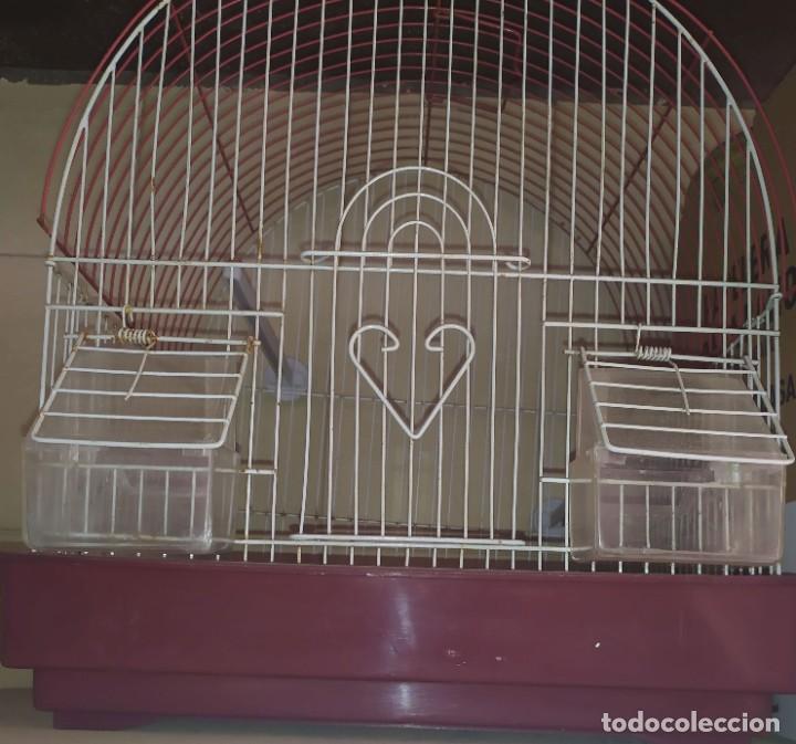 Antig&uuml;edades: JAULA PAJAROS COMEDORES Y ACCESORIOS - Foto 1