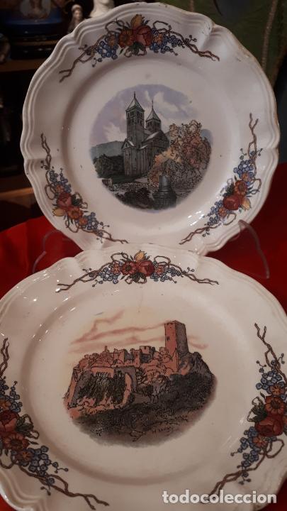 Antig&uuml;edades: PAREJA DE PLATOS DE SARREGUEMINES. - Foto 1