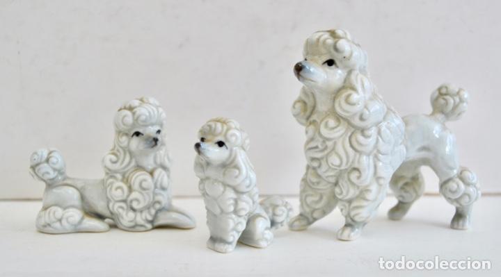 Antig&uuml;edades: Deliciosa Familia de 3 Peque&ntilde;os Caniches. Animales de Porcelana. Porcelana Vintage. En buen estado