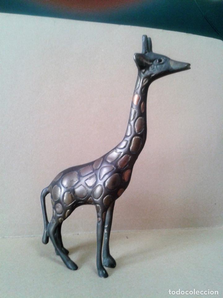 Antig&uuml;edades: Jirafa de bronce. 20,5 cm.de alta - Foto 4