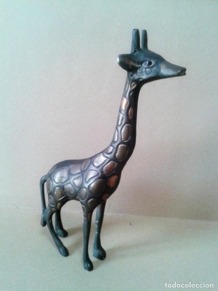 Antig&uuml;edades: Jirafa de bronce. 20,5 cm.de alta - Foto 1