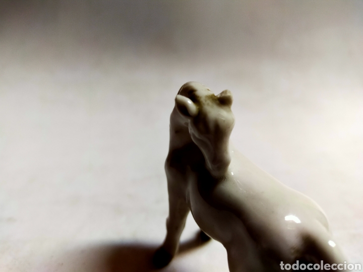 Antig&uuml;edades: CABALLO DE PORCELANA - Foto 8