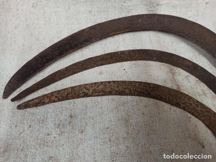 Antig&uuml;edades: Lote de tres hoces CG2 - Foto 3