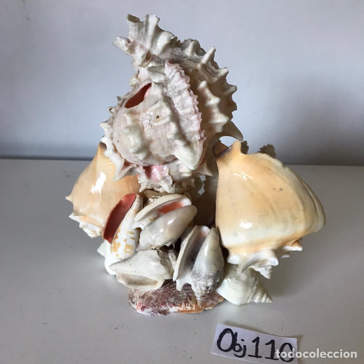 Antig&uuml;edades: Figura de conchas vintage - Foto 1