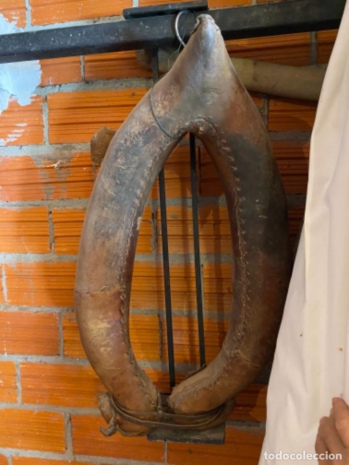 Antig&uuml;edades: 2 Colleras muy antiguas - Foto 8