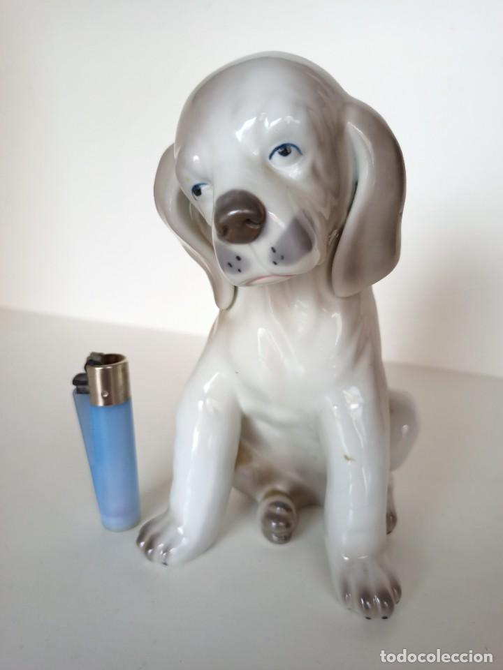 Antig&uuml;edades: Bonito perro de porcelana - Foto 1