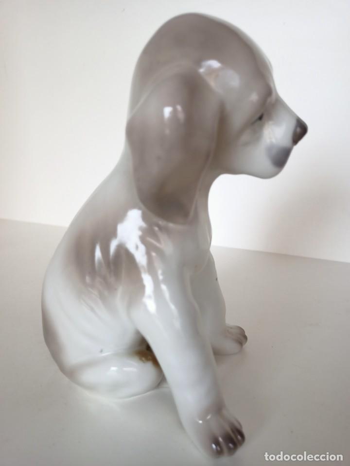 Antig&uuml;edades: Bonito perro de porcelana - Foto 4