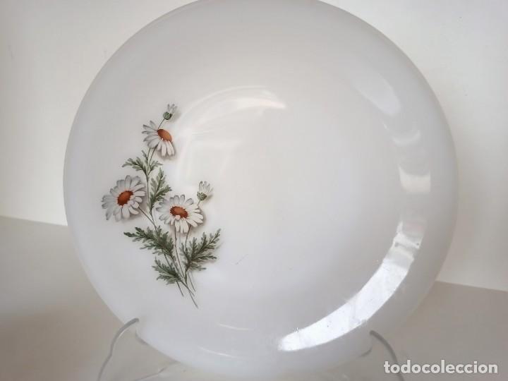 Antig&uuml;edades: Plato y taza de opalina - Foto 2