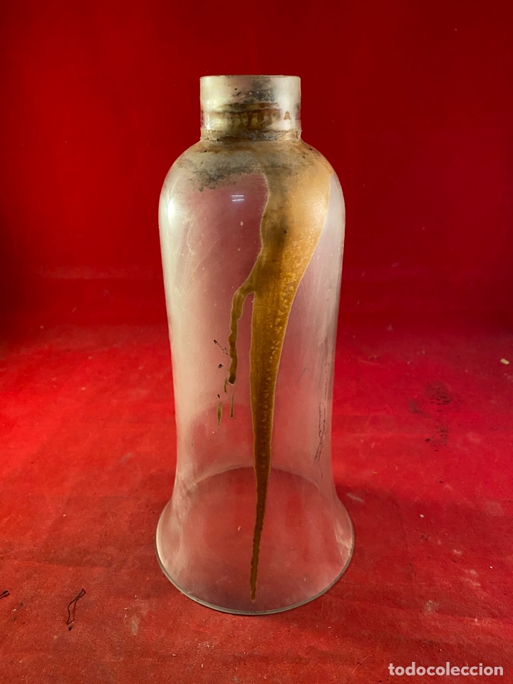 Antig&uuml;edades: Tulipa alargada Cristal - Foto 2