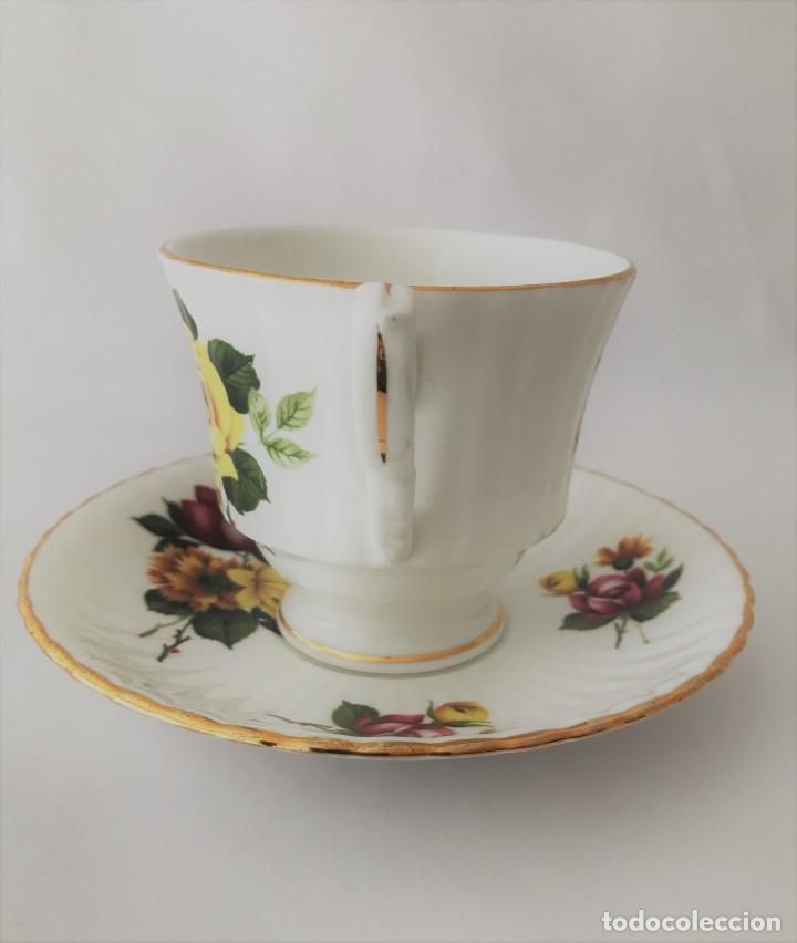 Antigüedades: Taza y platillo Royal Windsor- fina porcelana de hueso - Foto 3 - 225174737