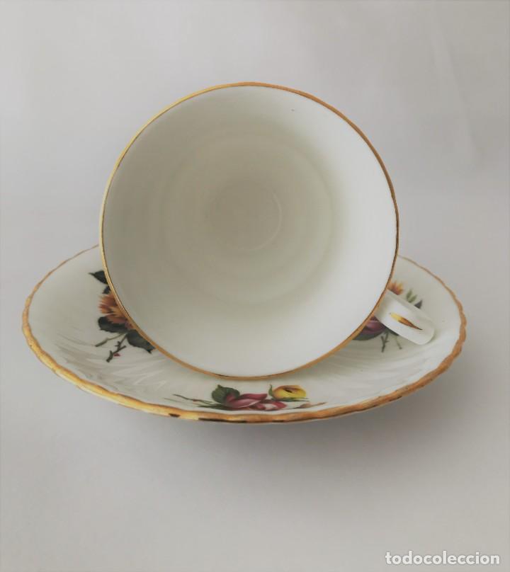 Antigüedades: Taza y platillo Royal Windsor- fina porcelana de hueso - Foto 5 - 225174737