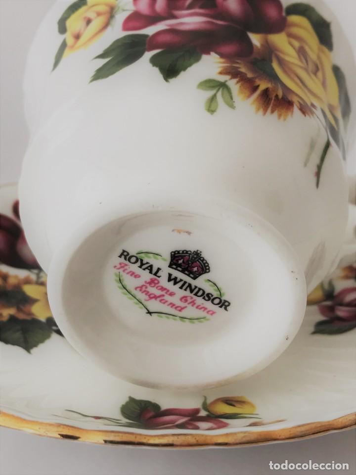 Antigüedades: Taza y platillo Royal Windsor- fina porcelana de hueso - Foto 6 - 225174737