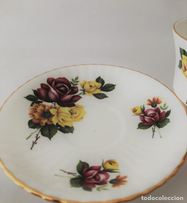 Antigüedades: Taza y platillo Royal Windsor- fina porcelana de hueso - Foto 9 - 225174737