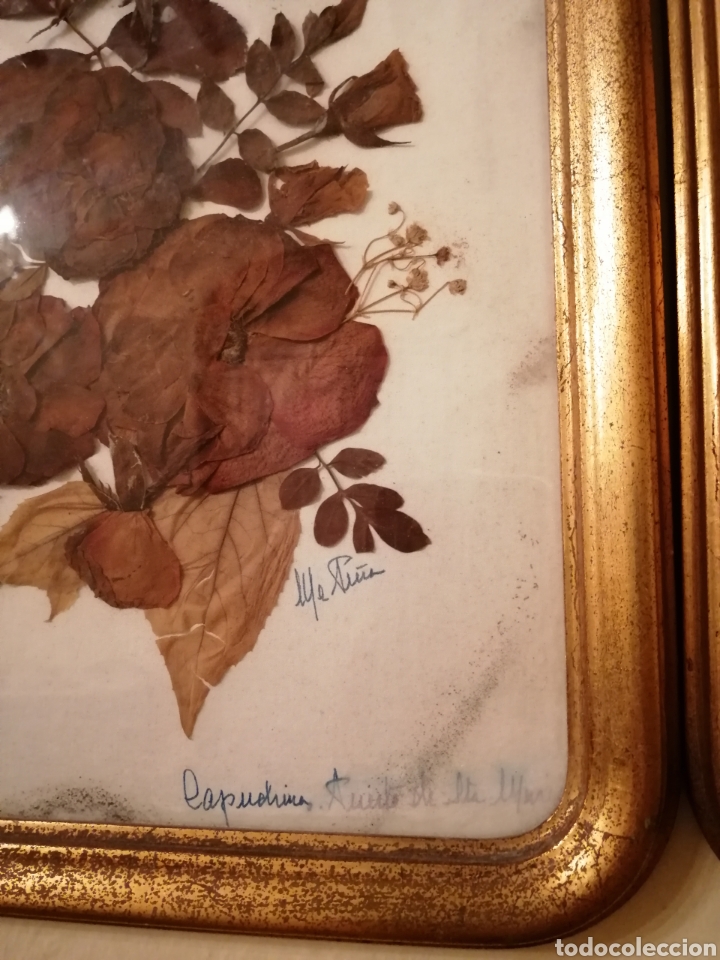 Antig&uuml;edades: CUADRO ANTIGUO FLORES SECAS - Foto 2