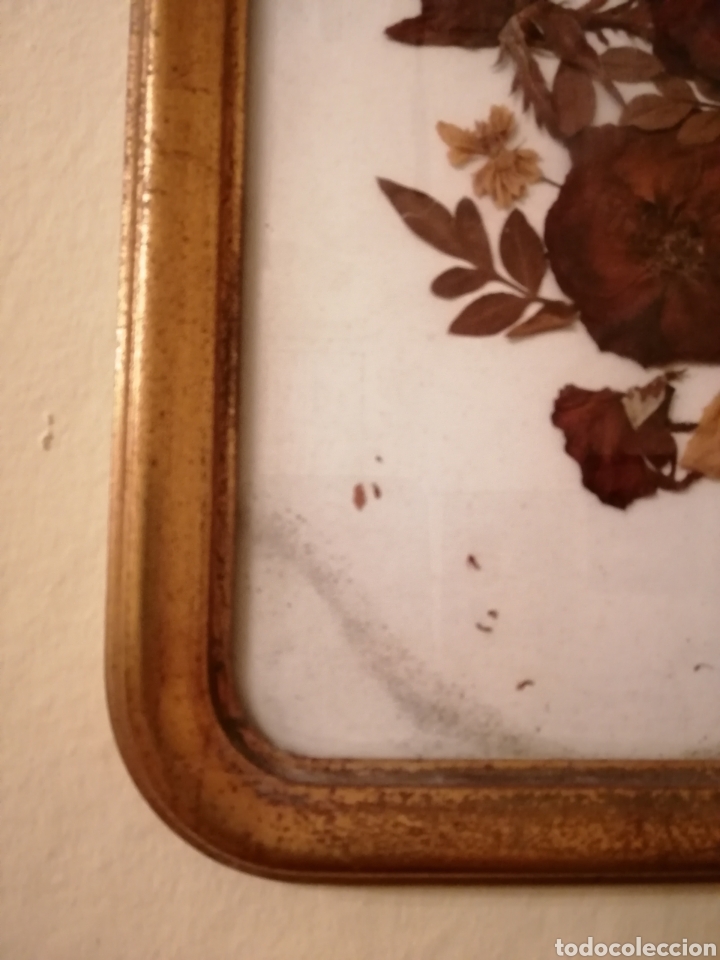 Antig&uuml;edades: CUADRO ANTIGUO FLORES SECAS - Foto 4