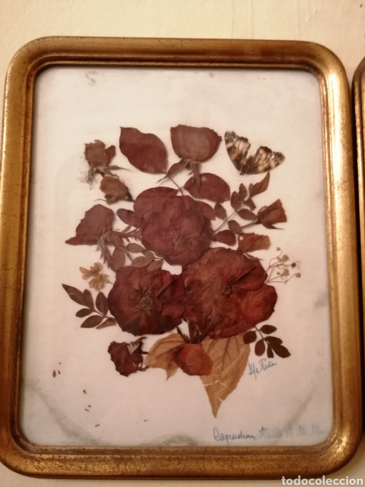 Antig&uuml;edades: CUADRO ANTIGUO FLORES SECAS - Foto 6