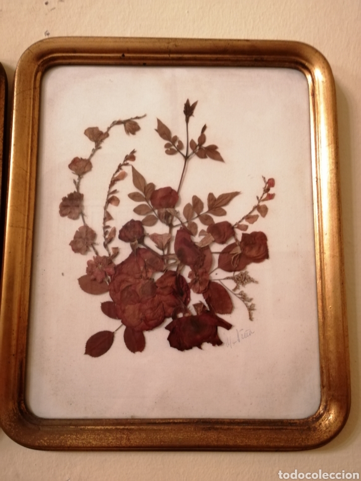 Antig&uuml;edades: CUADRO ANTIGUO FLORES SECAS - Foto 1