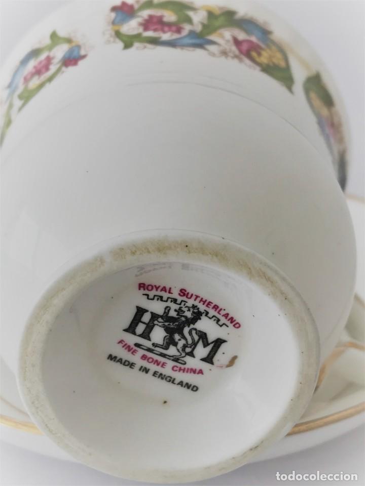 Antigüedades: Taza y platillo Royal Suttherland - fina porcelana inglesa - Foto 4 - 226634935