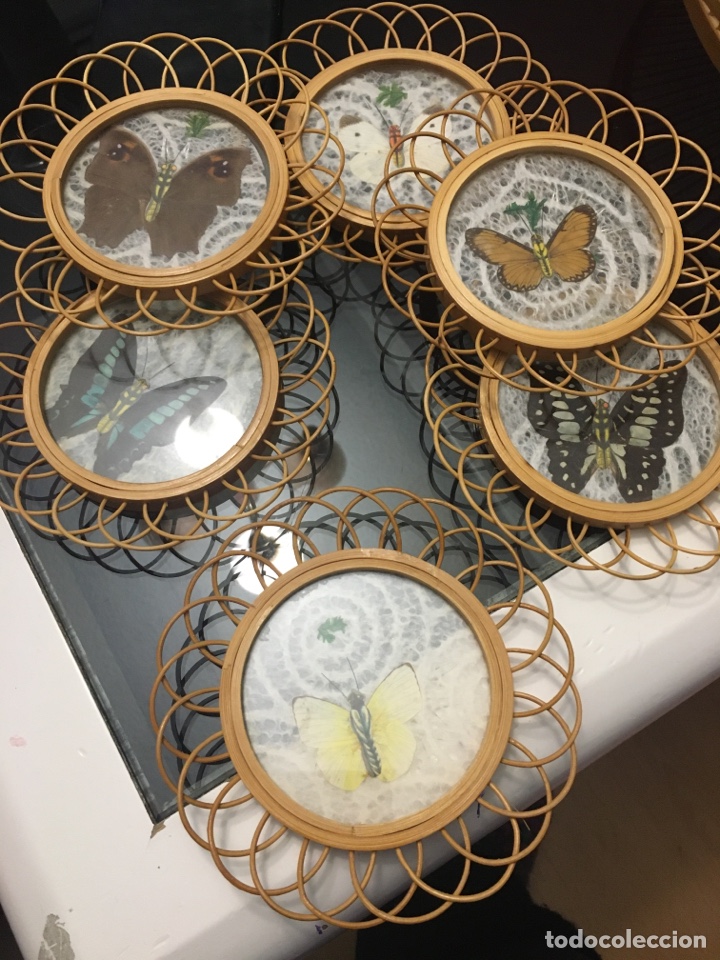 Antig&uuml;edades: Posavasos , mariposas reales y mimbre- bamb&uacute; - Foto 1