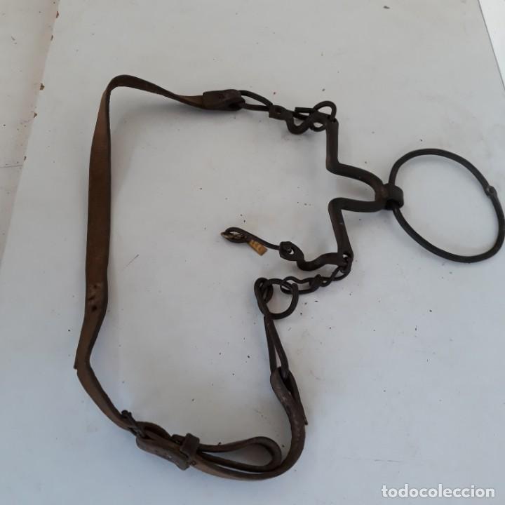 Antig&uuml;edades: Bocado marroqui con correaje de cuero - Foto 5