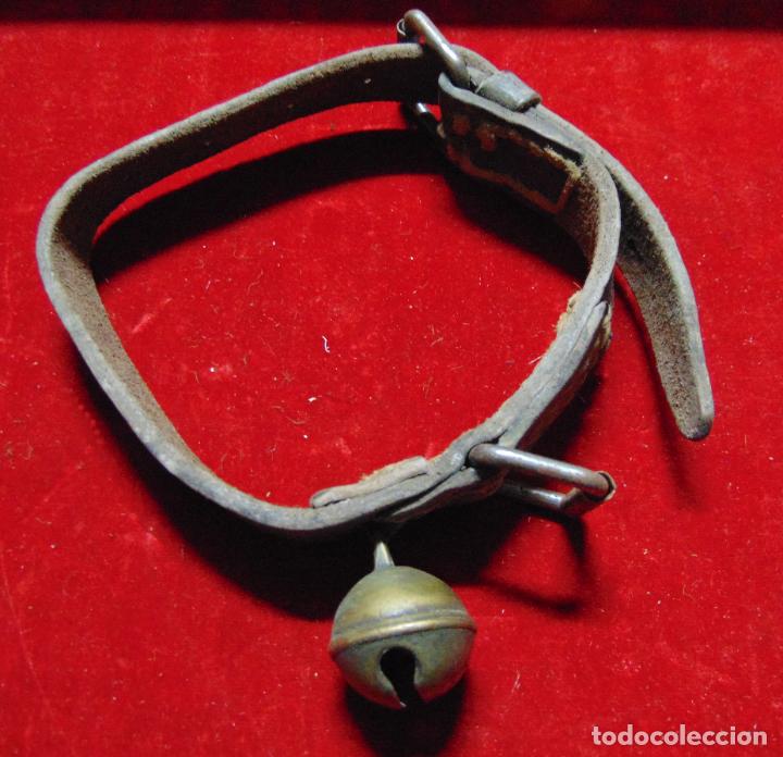 Antig&uuml;edades: ANTIGUO COLLAR DE GATO CON UN CASCABEL. - Foto 2