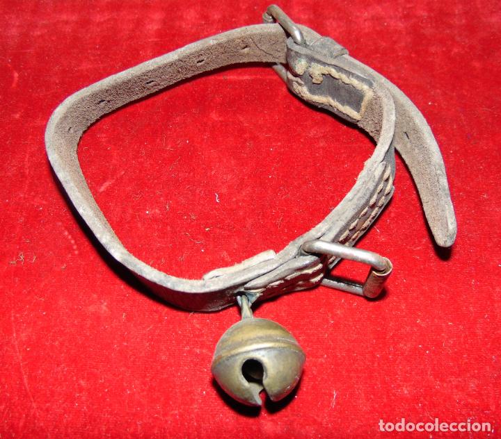 Antig&uuml;edades: ANTIGUO COLLAR DE GATO CON UN CASCABEL. - Foto 1