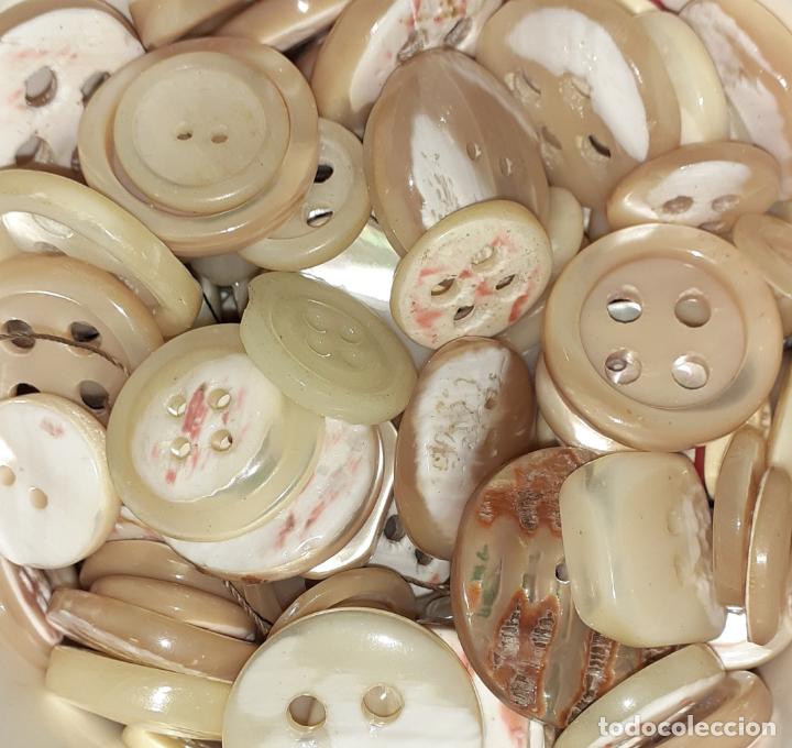 Antig&uuml;edades: 150 botones de nacar. Diversos tama&ntilde;os. - Foto 2
